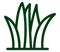 gruenraum